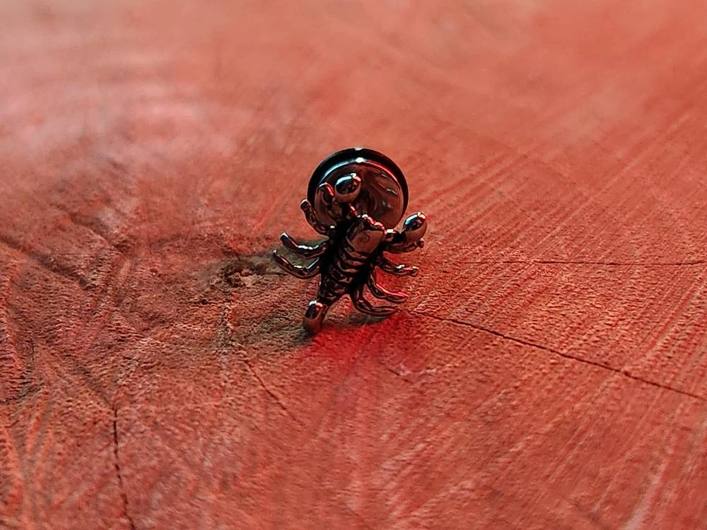 پیرسینگ scorpion - گوشواره | خرید از Raven